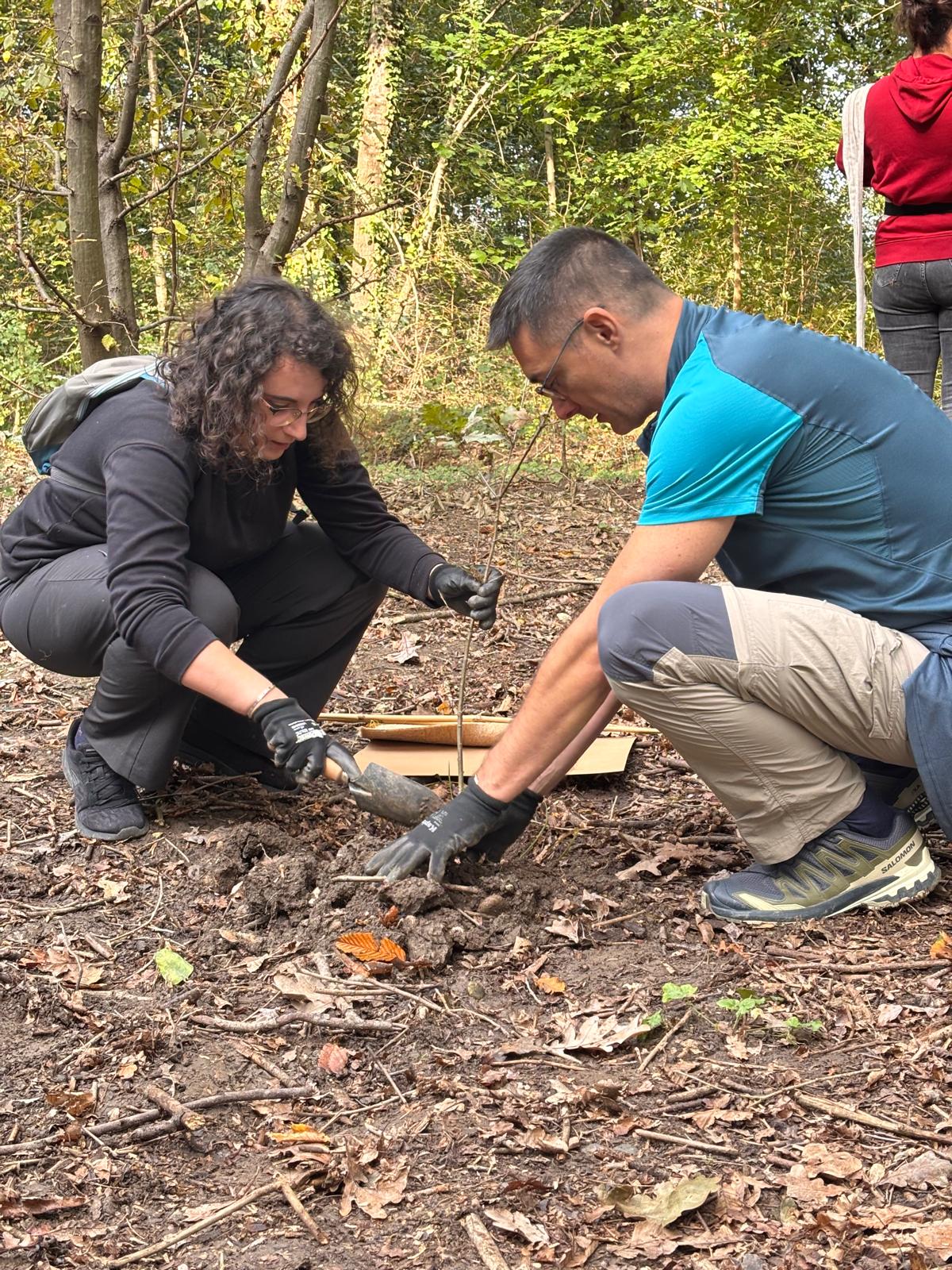 Teachersrise representatives planting a sapling